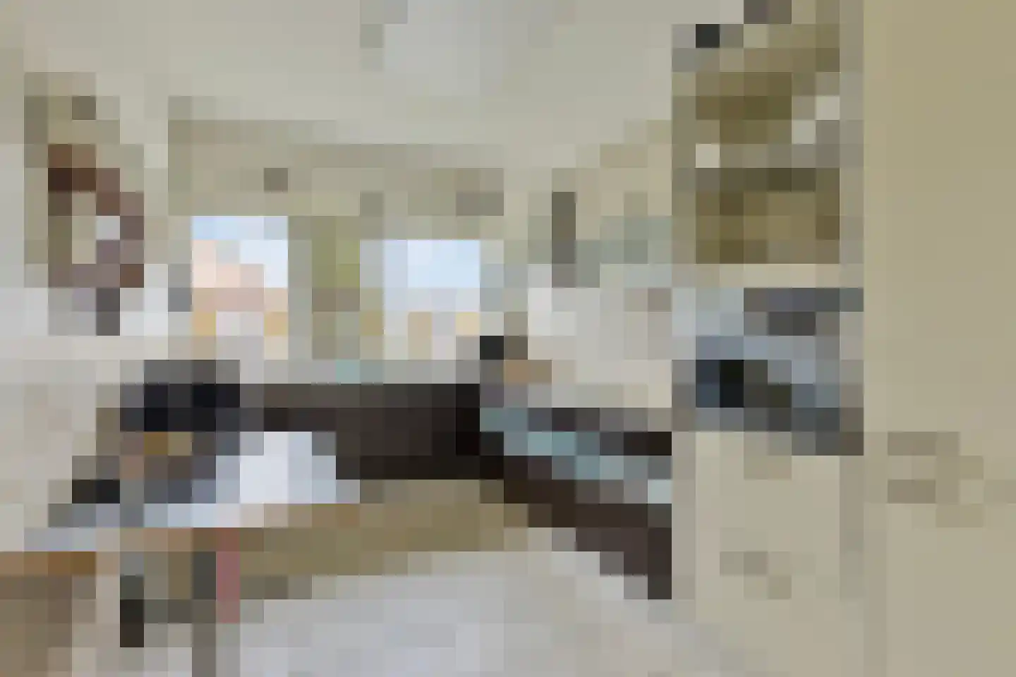 Konijnenberg 30 Halsteren thumbnail 5