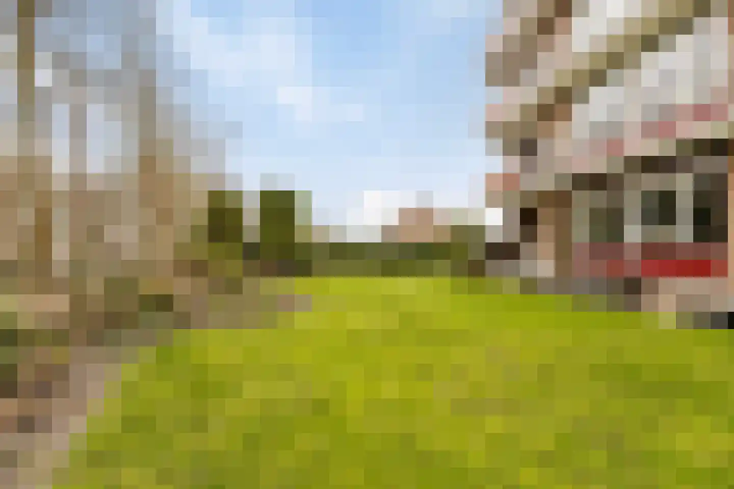 Konijnenberg 30 Halsteren thumbnail 8