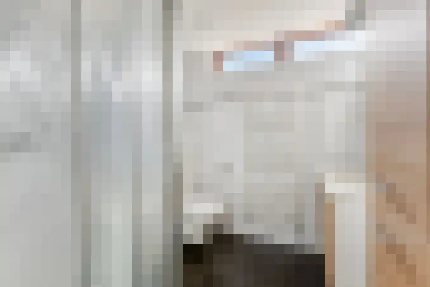 Konijnenberg 37 Halsteren thumbnail 31