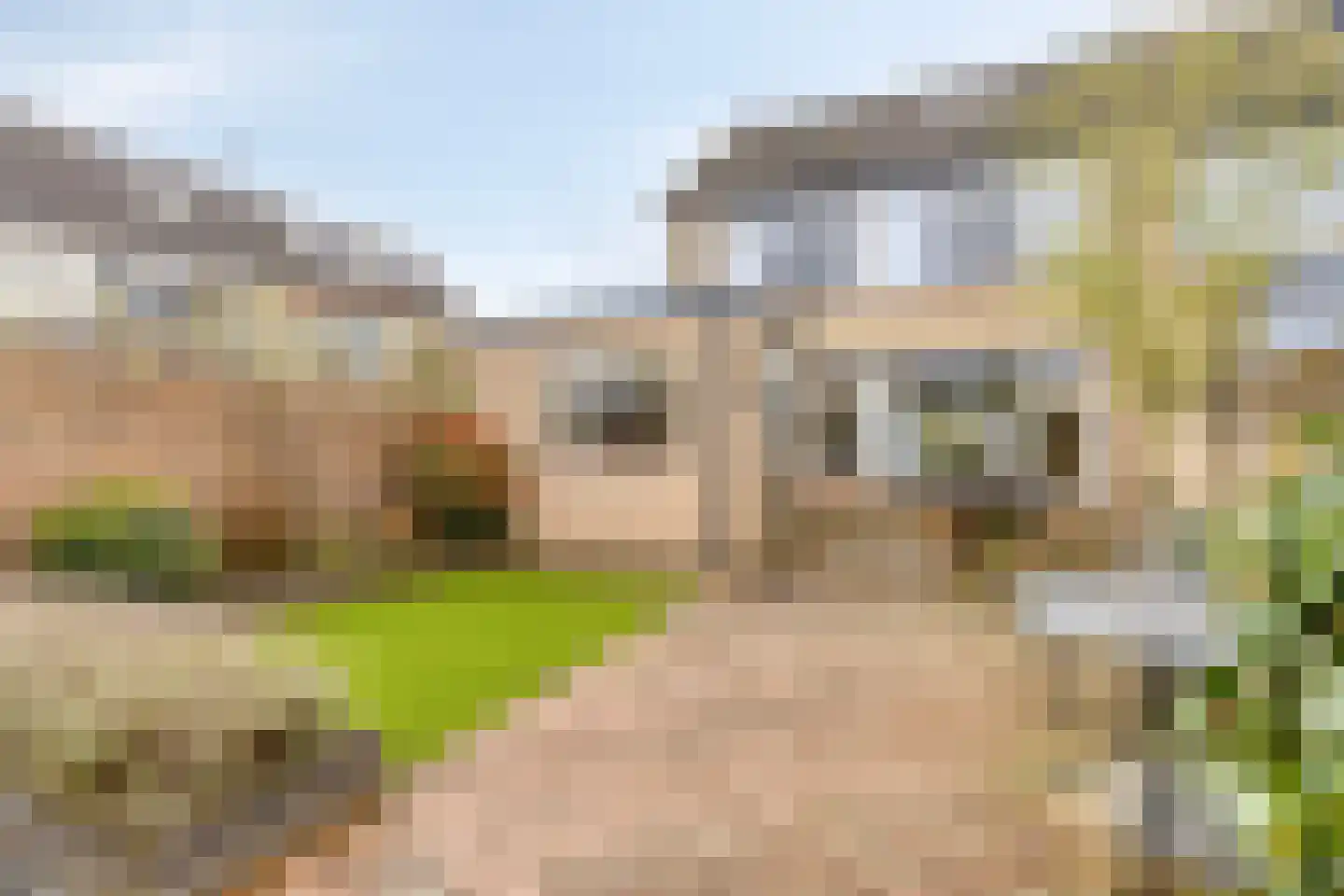 Konijnenberg 37 Halsteren thumbnail 4