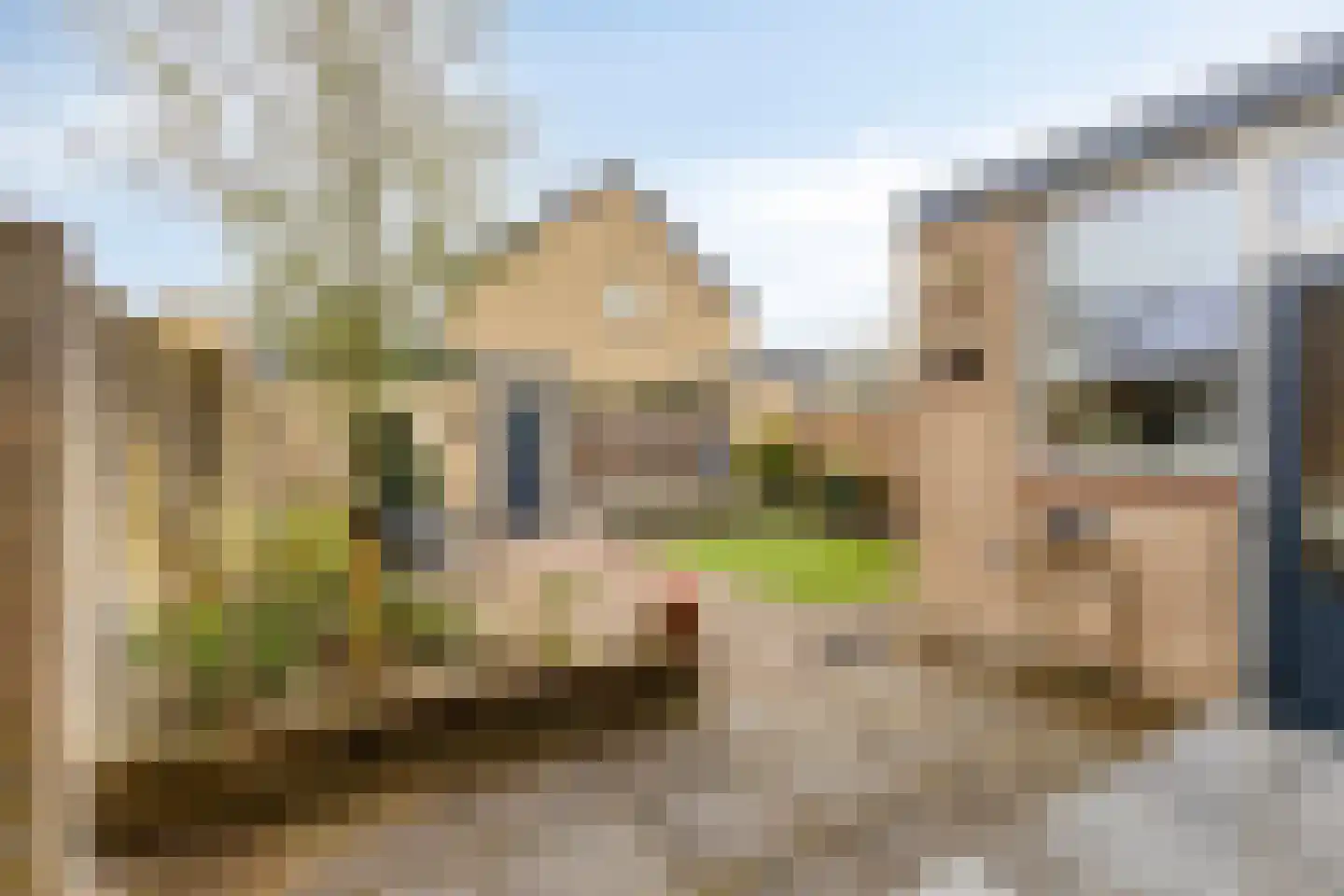Konijnenberg 37 Halsteren thumbnail 5