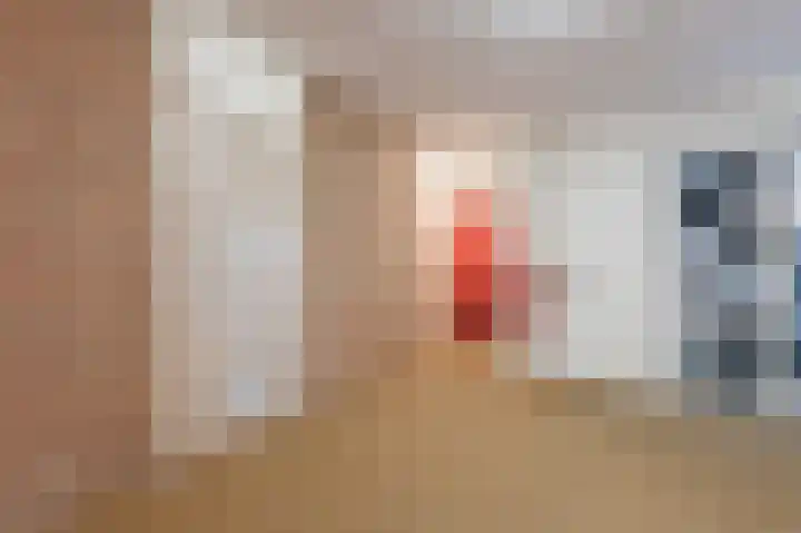 Konijnenberg 38 Halsteren thumbnail 10
