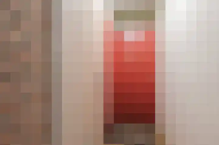 Konijnenberg 38 Halsteren thumbnail 11
