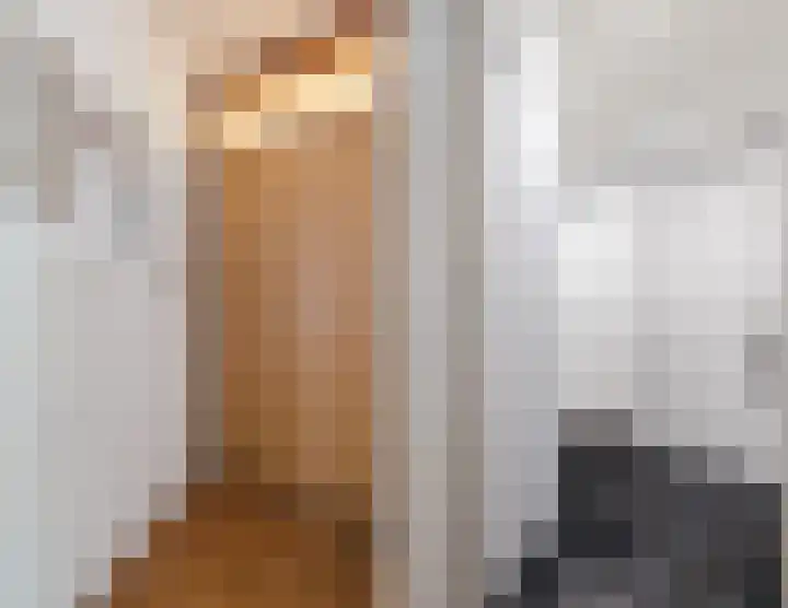 Konijnenberg 38 Halsteren thumbnail 16