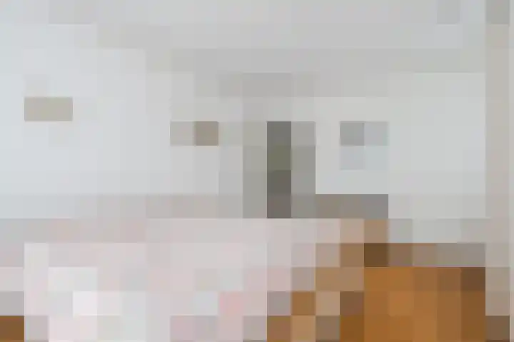 Konijnenberg 38 Halsteren thumbnail 27