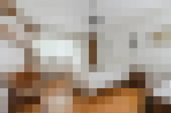 Konijnenberg 38 Halsteren thumbnail 28
