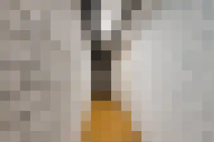 Konijnenberg 38 Halsteren thumbnail 40