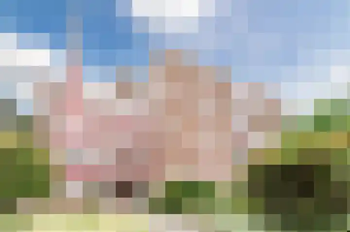 Konijnenberg 38 Halsteren thumbnail 5