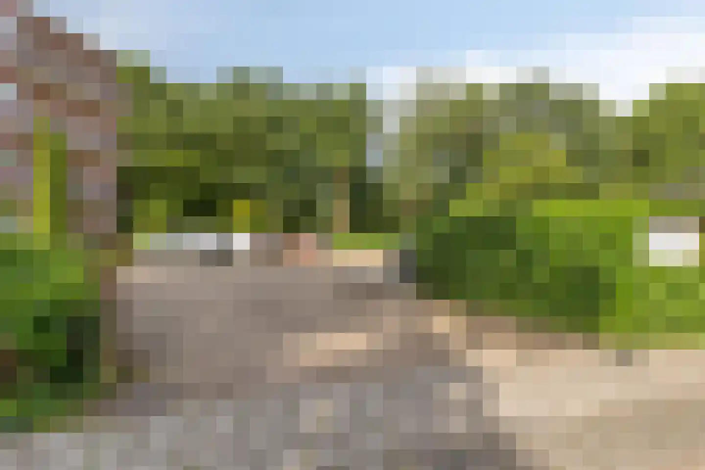 Konijnenberg 52 Halsteren thumbnail 23