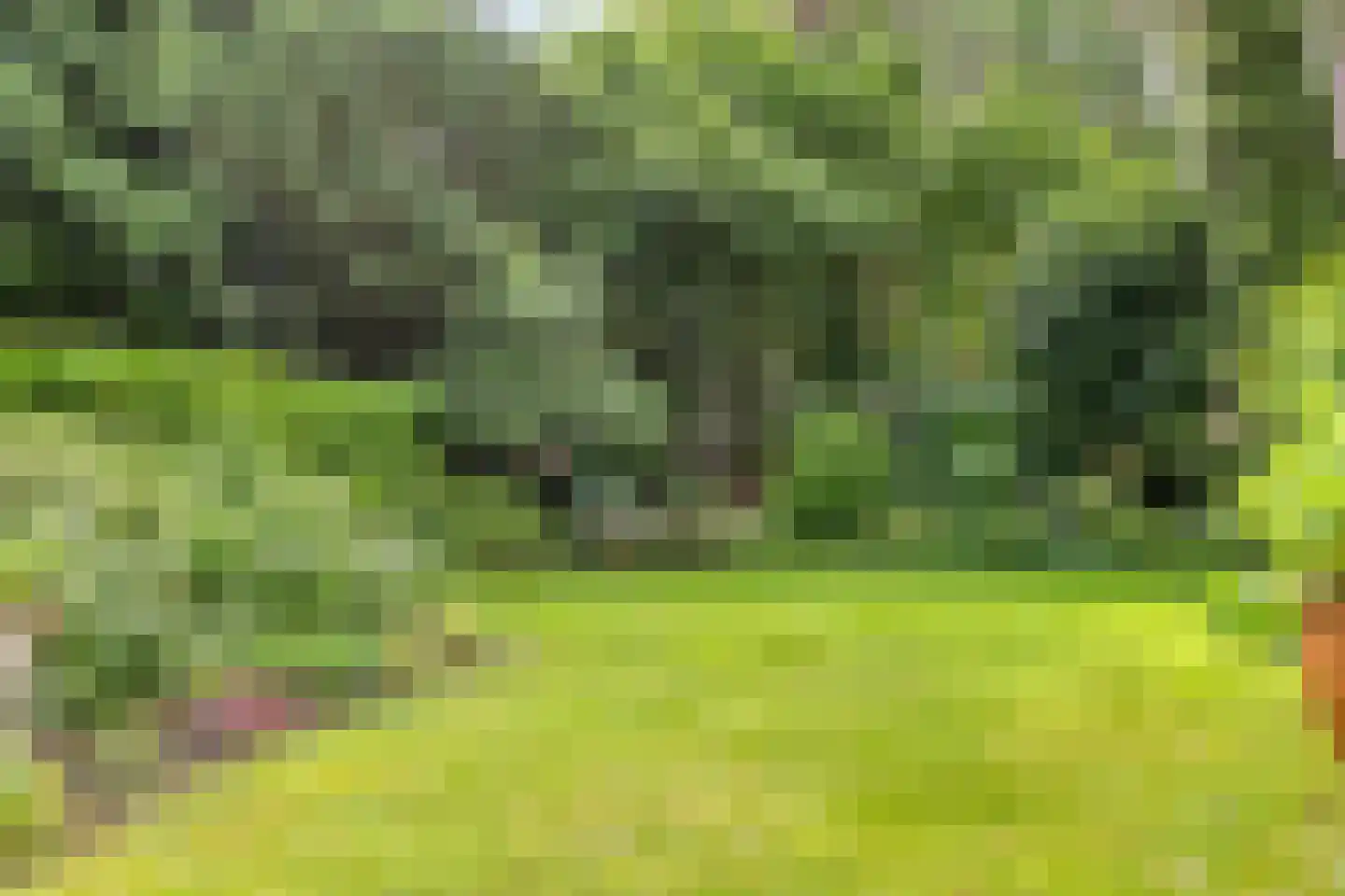 Konijnenberg 52 Halsteren thumbnail 4