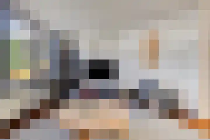 Konijnenberg 66 Halsteren thumbnail 12