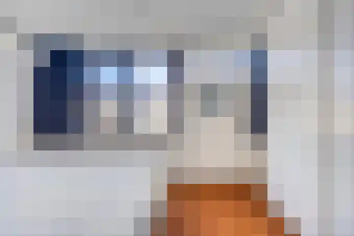 Konijnenberg 66 Halsteren thumbnail 18