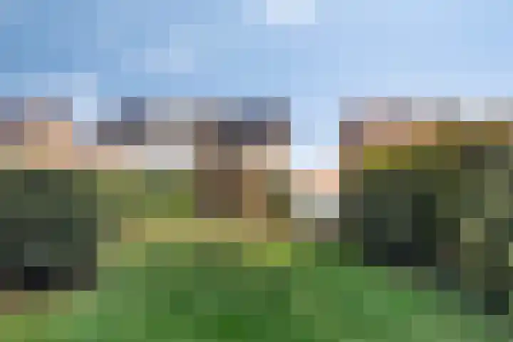 Konijnenberg 66 Halsteren thumbnail 31