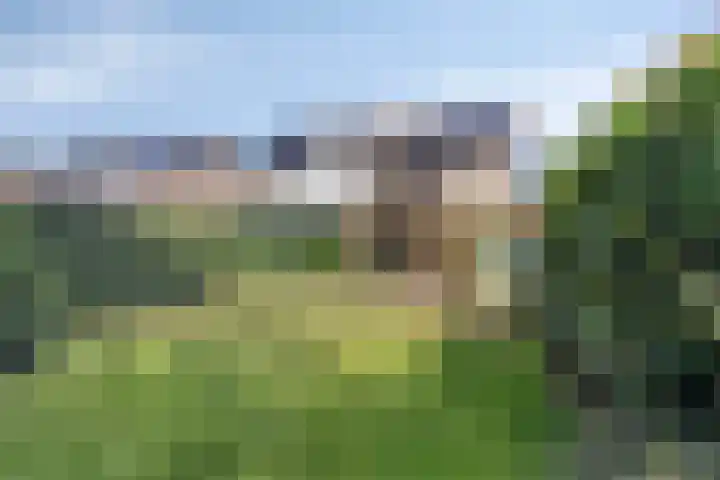 Konijnenberg 66 Halsteren thumbnail 32