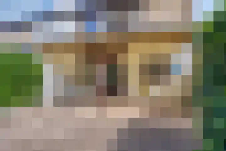 Konijnenberg 66 Halsteren thumbnail 33