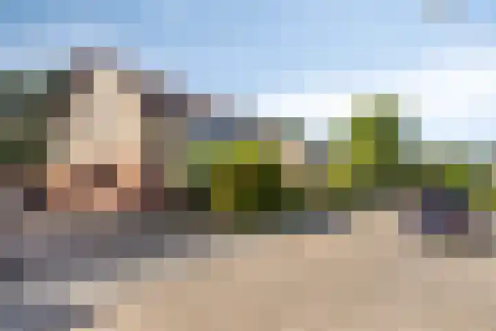 Konijnenberg 66 Halsteren thumbnail 35
