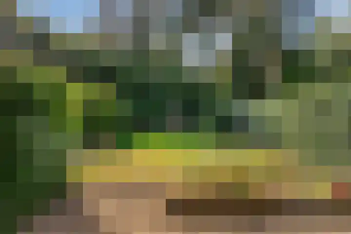 Konijnenberg 66 Halsteren thumbnail 7