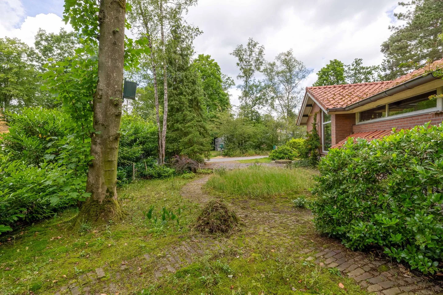 Konijnenbergen 10 Havelte thumbnail 27