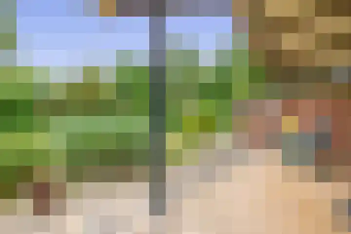 Konijnenbergen 36 Havelte thumbnail 20