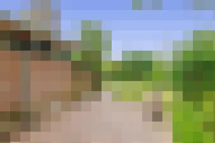 Konijnenbergen 36 Havelte thumbnail 22