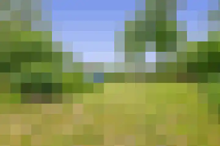 Konijnenbergen 36 Havelte thumbnail 23