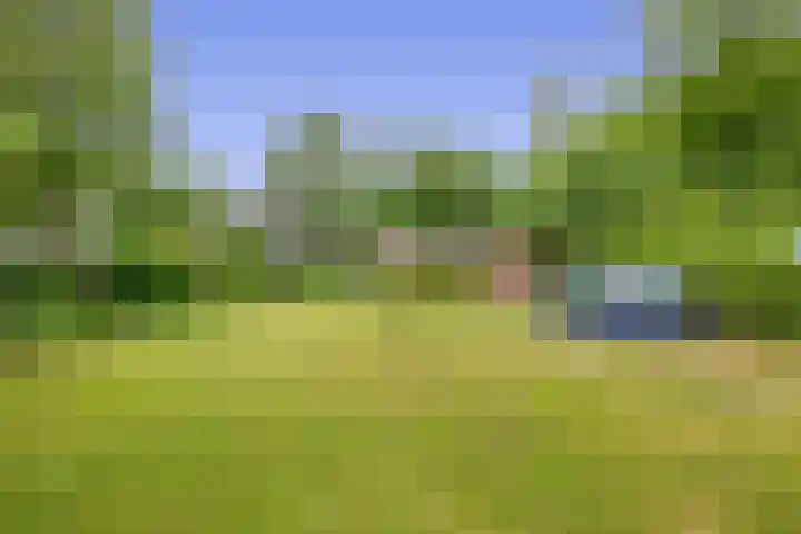 Konijnenbergen 36 Havelte thumbnail 33
