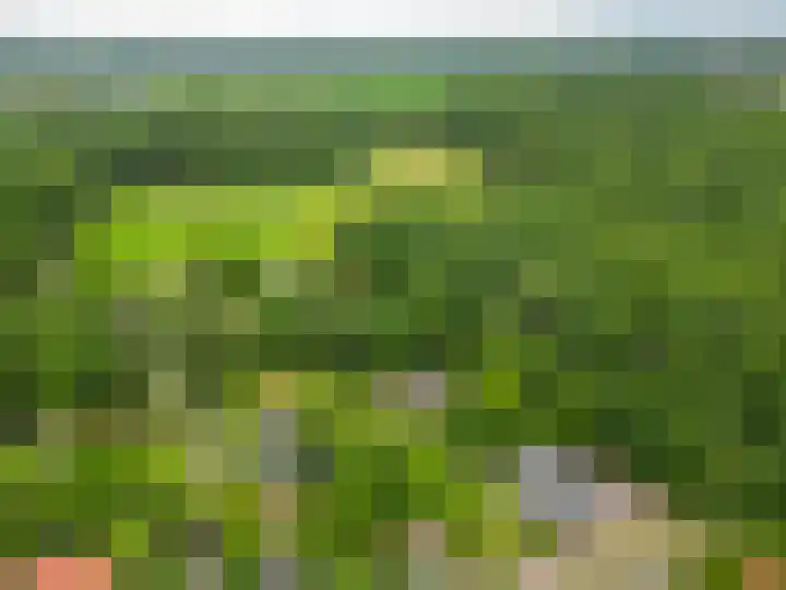 Konijnenbergen 36 Havelte thumbnail 36