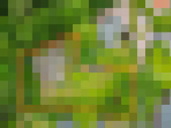 Konijnenbergen 36 Havelte thumbnail 4