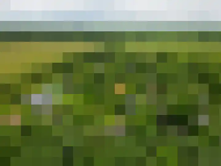 Konijnenbergen 36 Havelte thumbnail 40