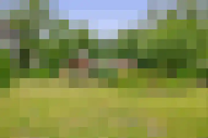 Konijnenbergen 36 Havelte thumbnail 47