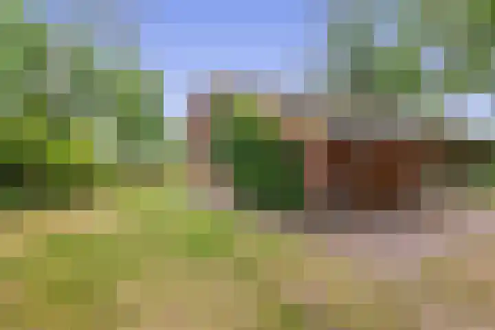 Konijnenbergen 36 Havelte thumbnail 6