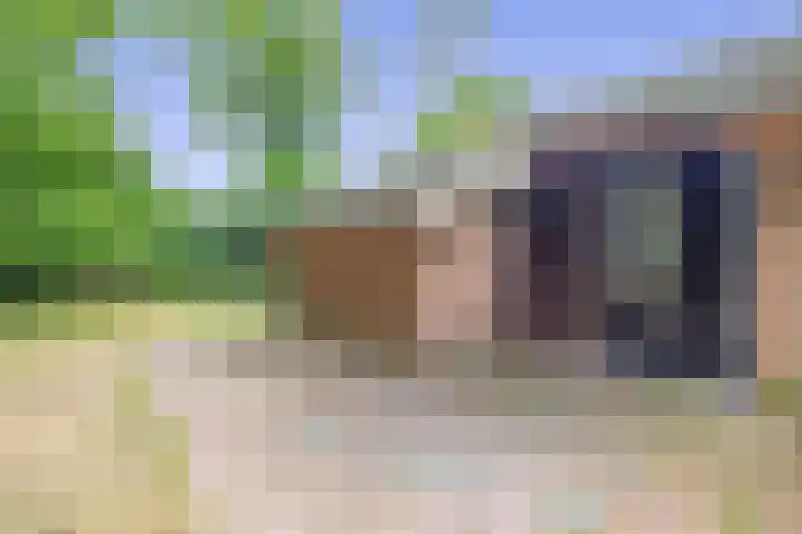 Konijnenbergen 36 Havelte thumbnail 7