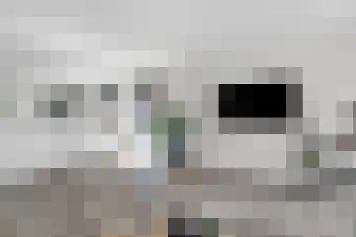 Konijnenbergstraat 8 Nijverdal thumbnail 8