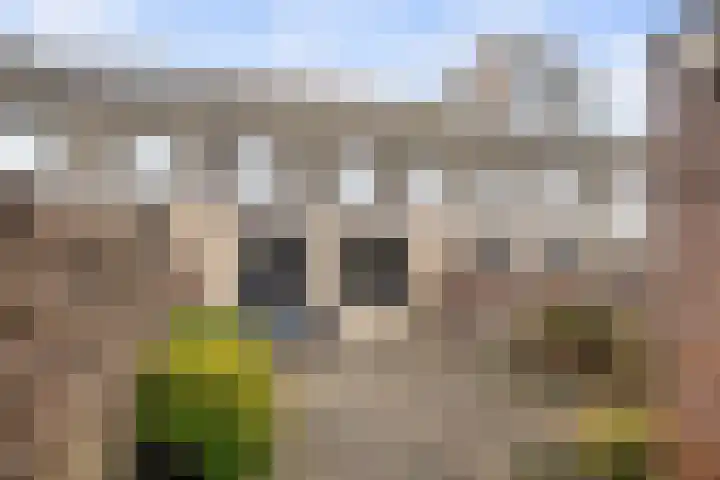 Konijnenburg 10 Barendrecht thumbnail 33