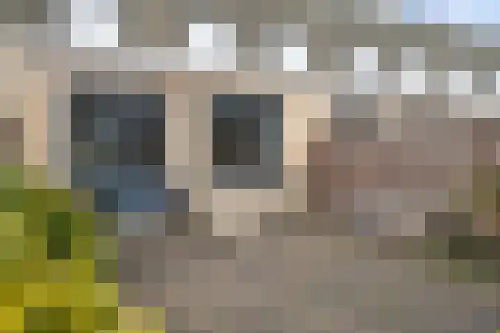Konijnenburg 10 Barendrecht thumbnail 34