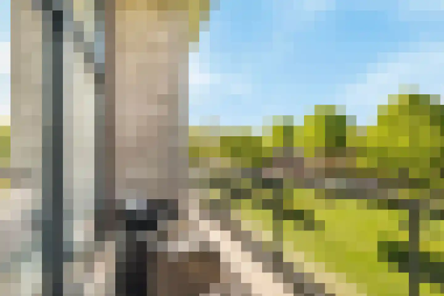 Konijnenburg 19 Barendrecht thumbnail 9