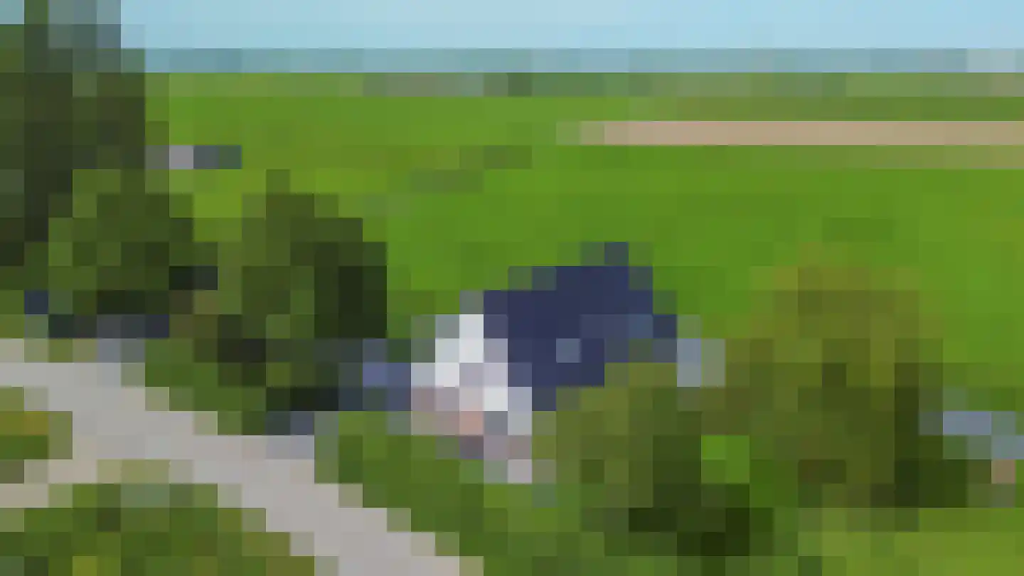 Konijnendijk 3 Geervliet thumbnail 10