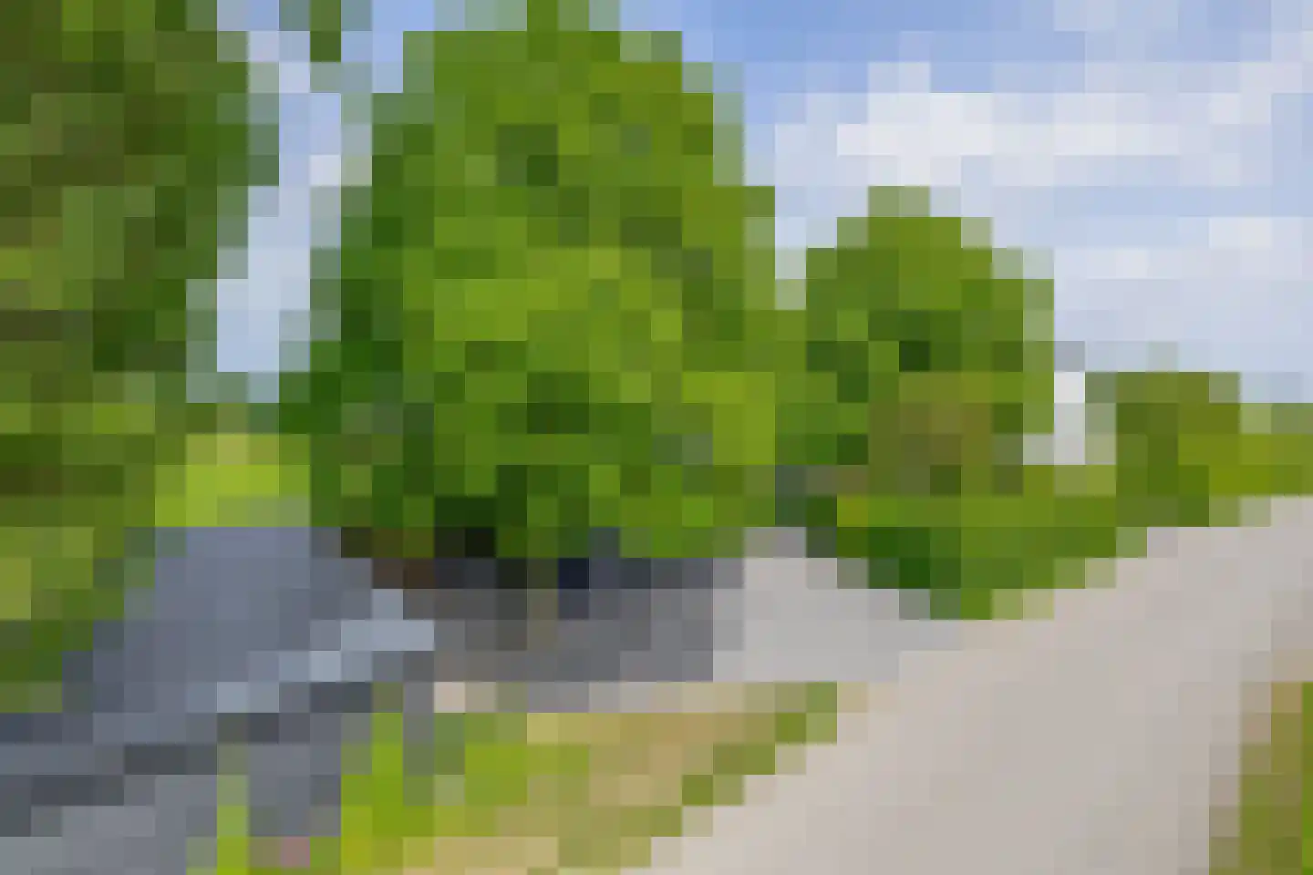 Konijnendijk 3 Geervliet thumbnail 14