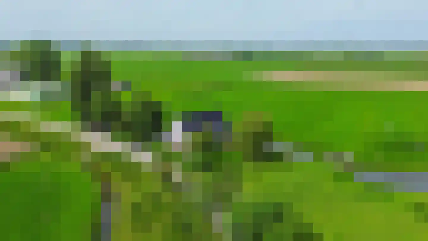 Konijnendijk 3 Geervliet thumbnail 15