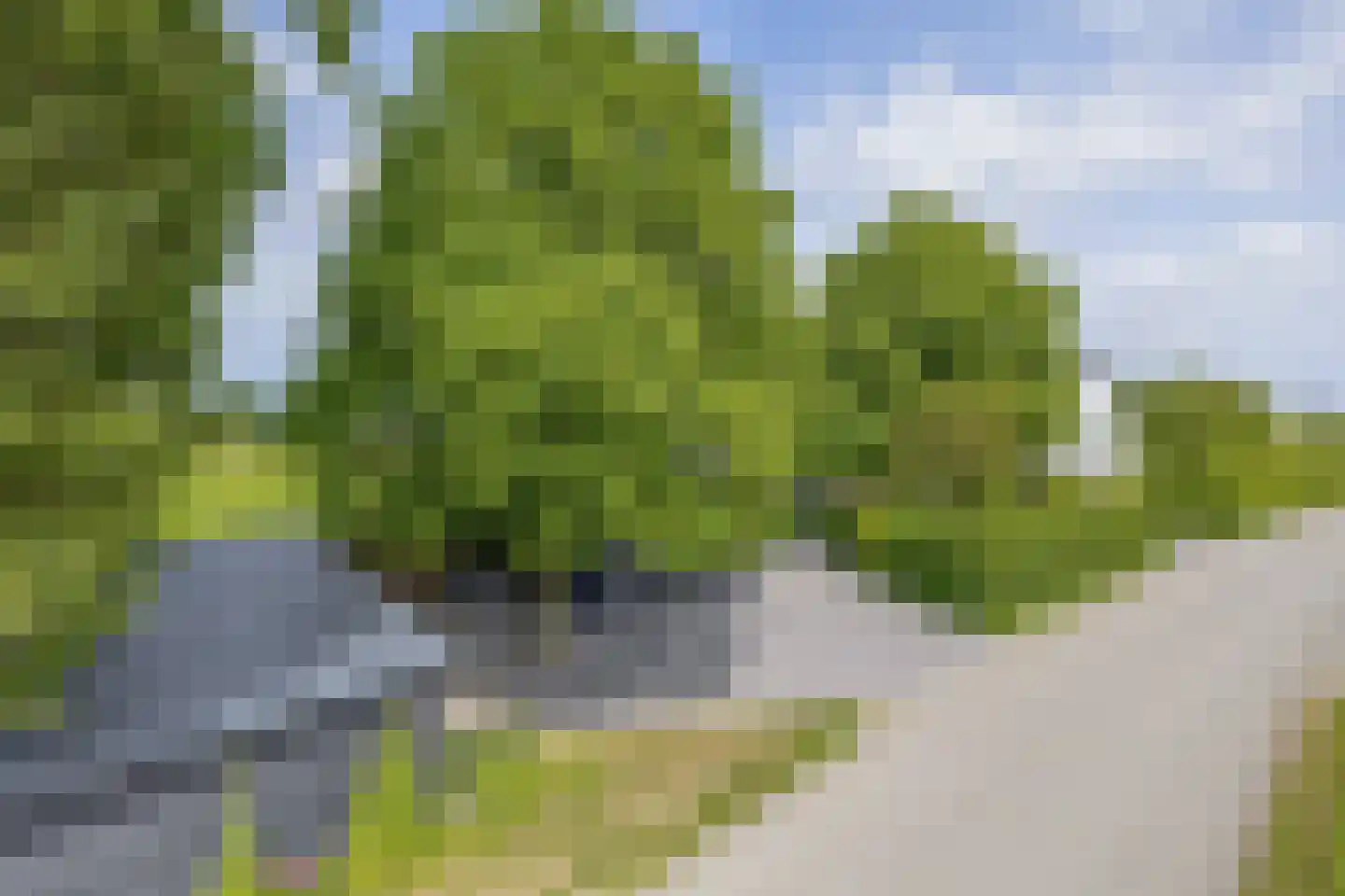 Konijnendijk 3 Geervliet thumbnail 17