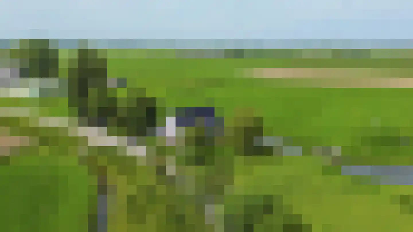 Konijnendijk 3 Geervliet thumbnail 19