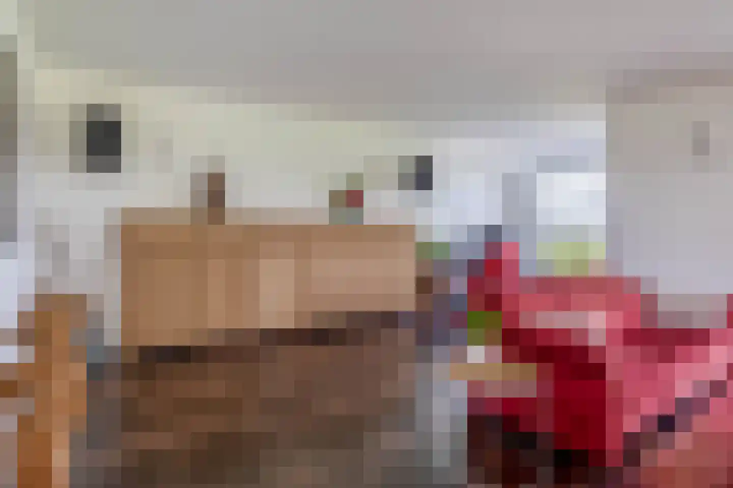 Konijnendijk 3 Geervliet thumbnail 26