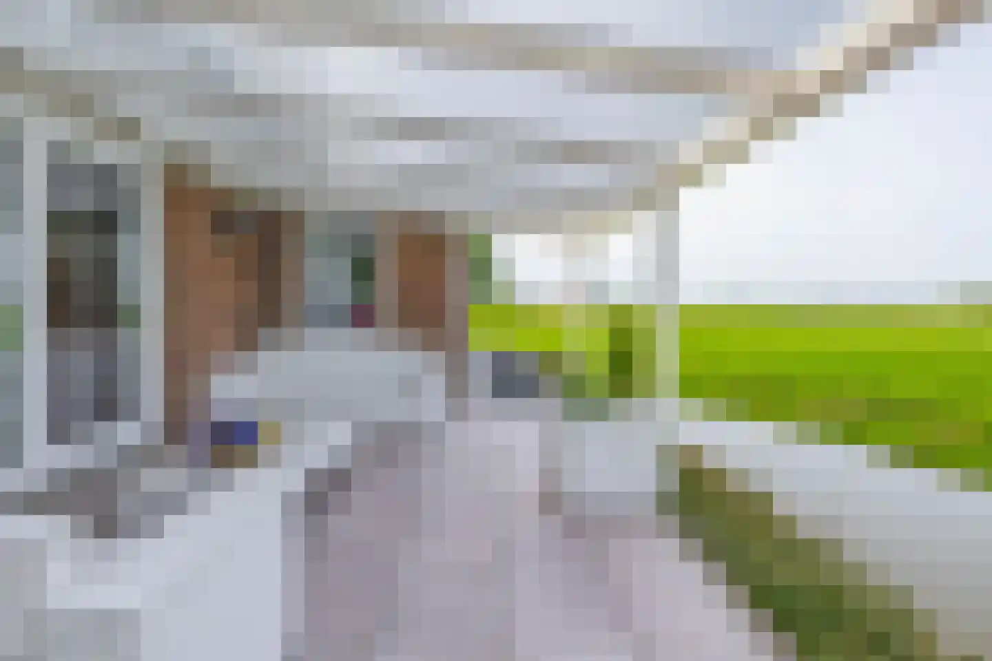 Konijnendijk 3 Geervliet thumbnail 31