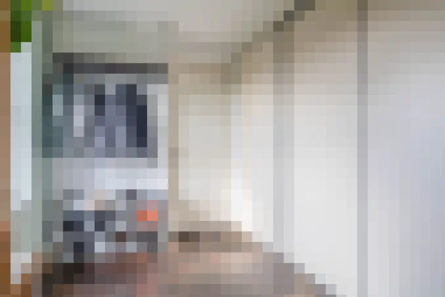 Konijnendijk 3 Geervliet thumbnail 42