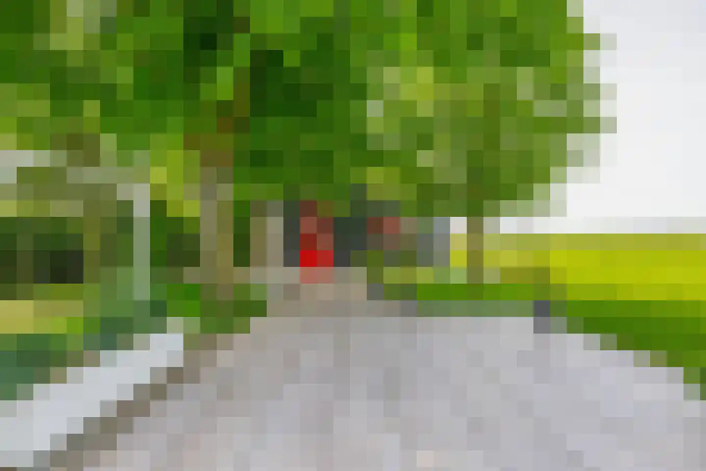 Konijnendijk 3 Geervliet thumbnail 69