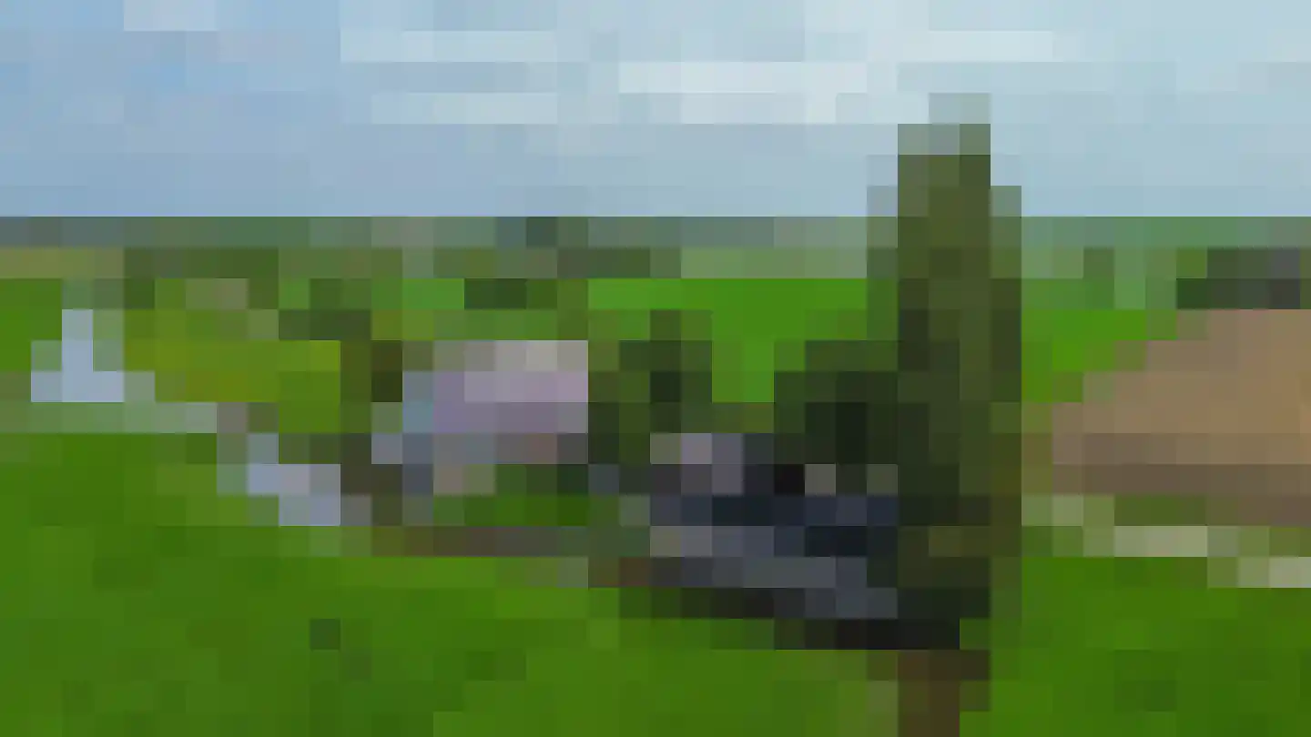 Konijnendijk 3 Geervliet thumbnail 7
