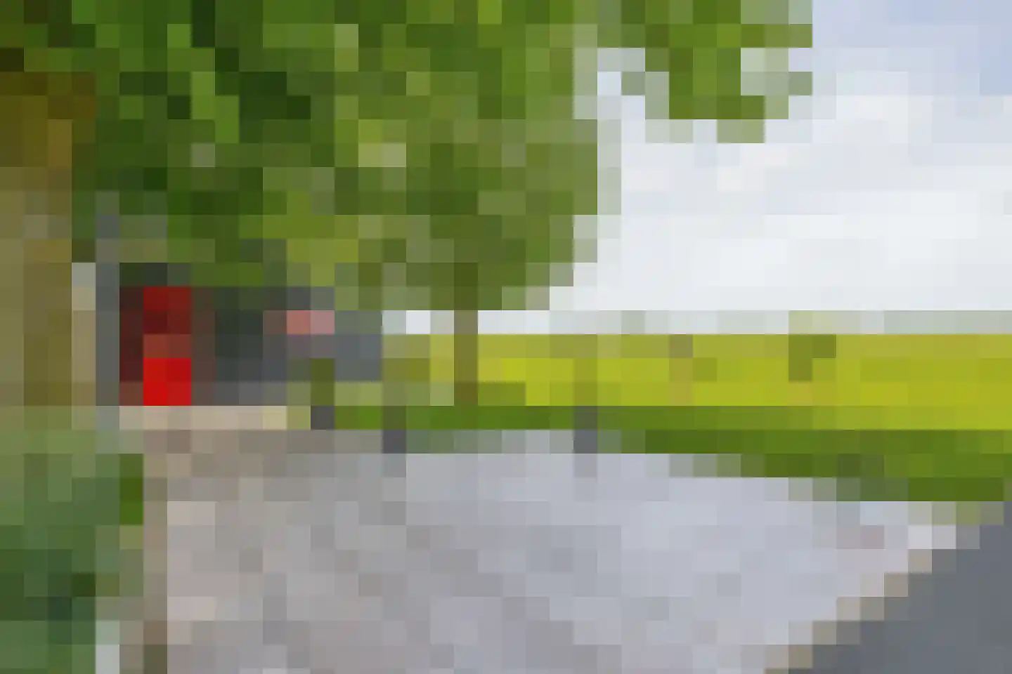 Konijnendijk 3 Geervliet thumbnail 72