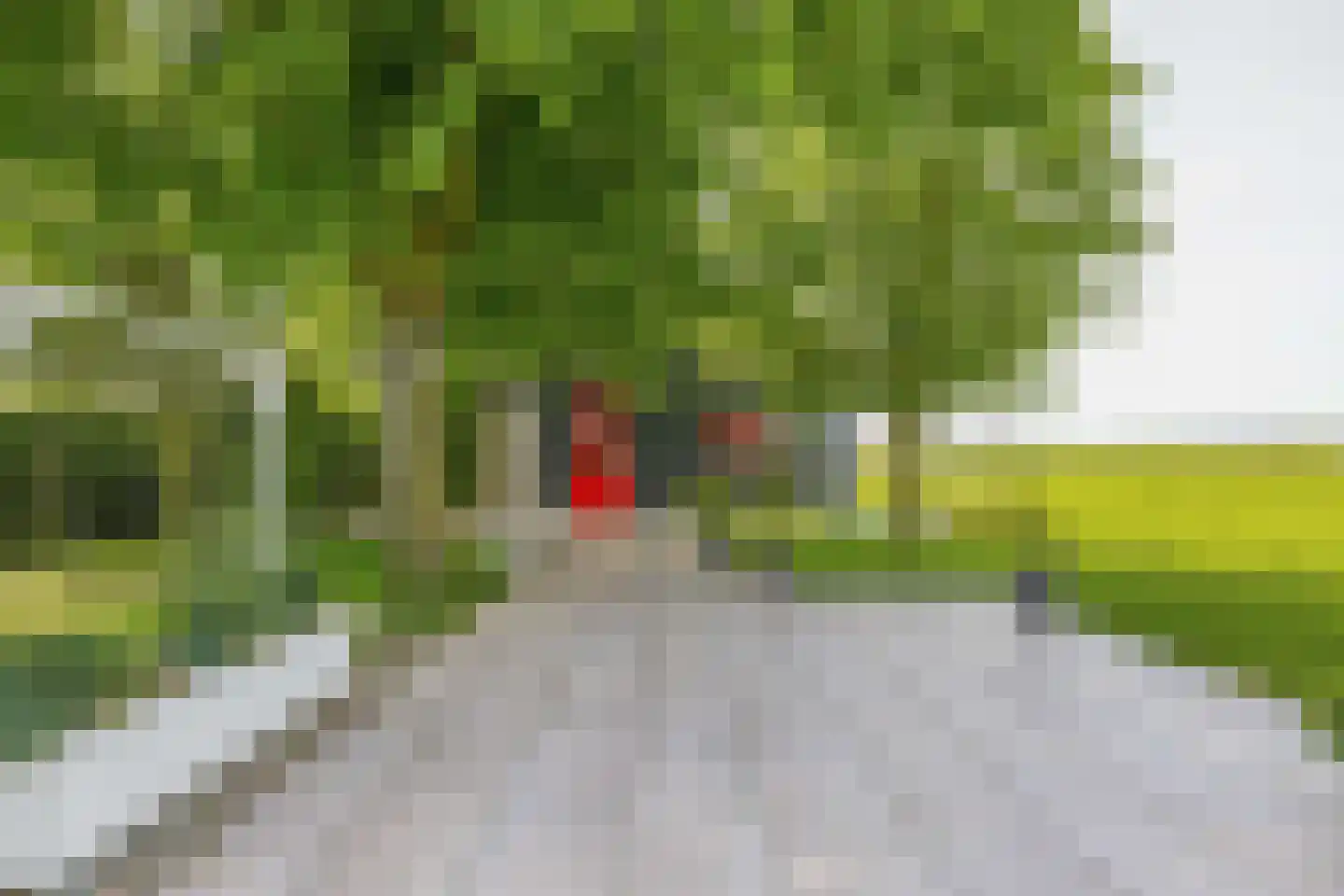 Konijnendijk 3 Geervliet thumbnail 73