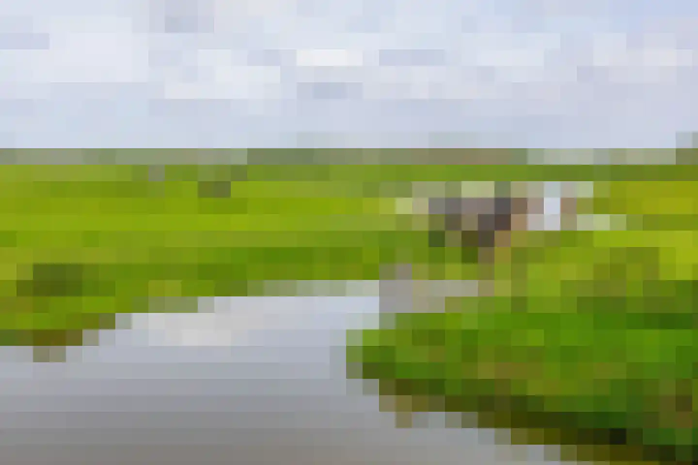 Konijnendijk 3 Geervliet thumbnail 78