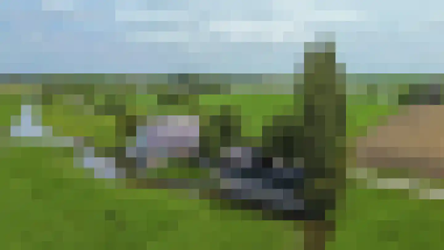 Konijnendijk 3 Geervliet thumbnail 8